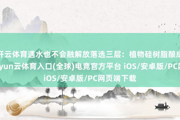 开云体育遇水也不会融解放落选三层：植物硅树脂酿成透气网-开yun云体育入口(全球)电竞官方平台 iOS/安卓版/PC网页端下载